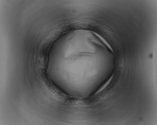 X0000110670224200906261305
