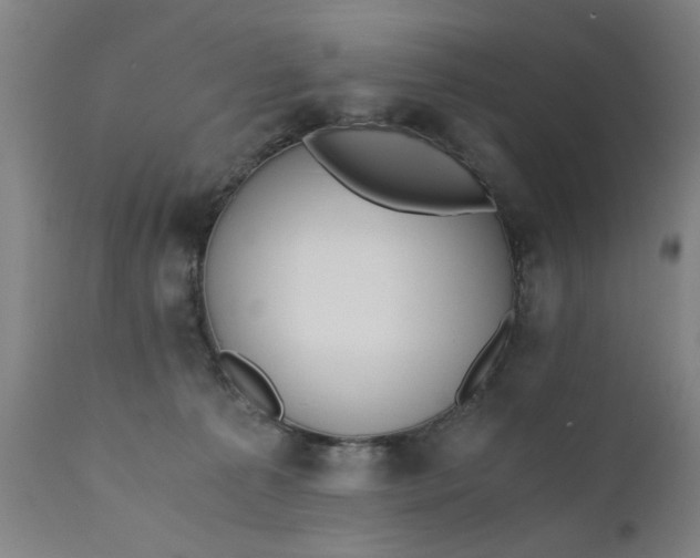 X0000110670225200906261305