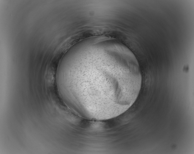 X0000110670226200906261305
