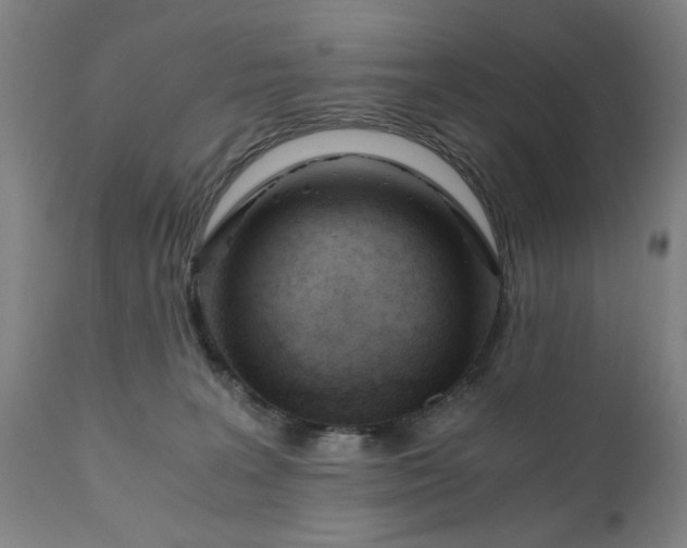 X0000110670227200906261304