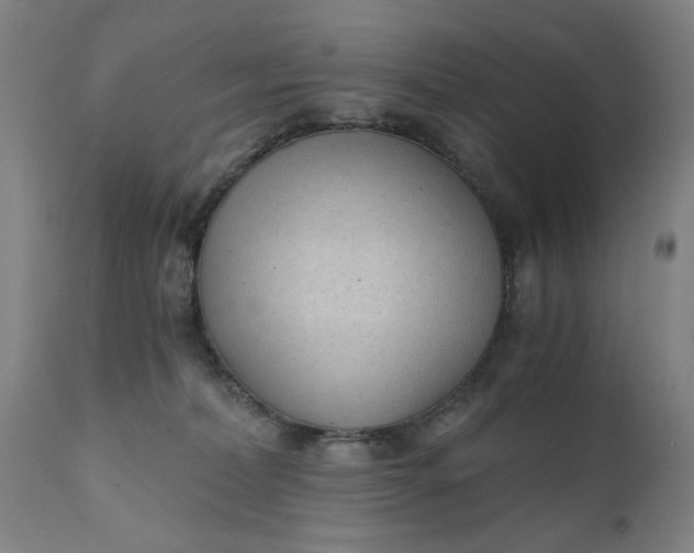 X0000110670228200906261304