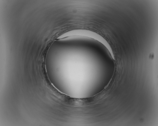 X0000110670229200906261304
