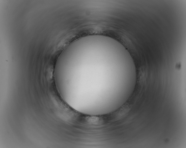 X0000110670230200906261304