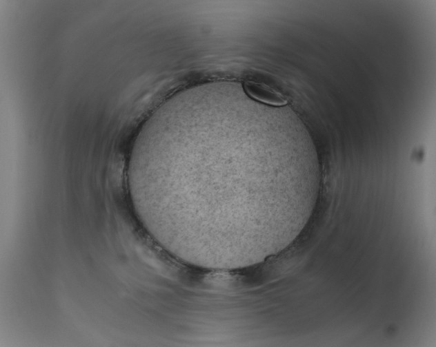 X0000110670231200906261304