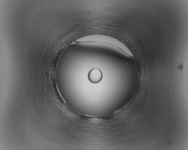 X0000110670233200906261304
