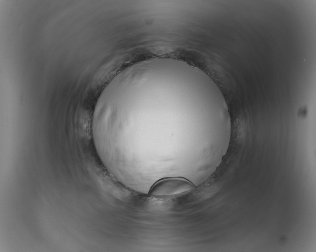 X0000110670234200906261304