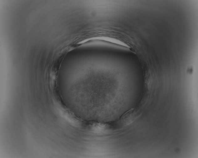 X0000110670235200906261304
