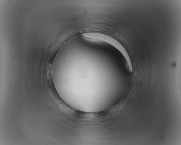 X0000110670237200906261304