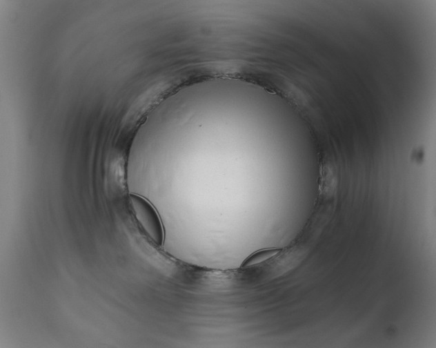 X0000110670238200906261304