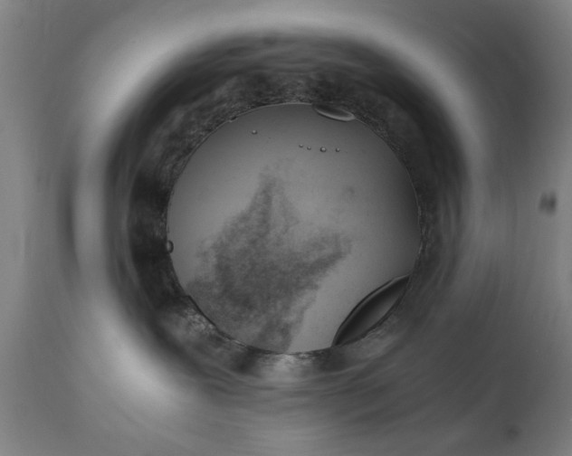 X0000110670239200906261304