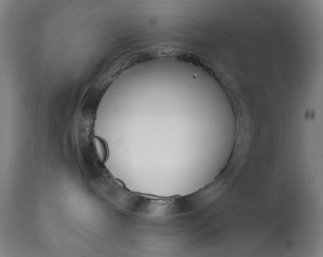 X0000110670240200906261304