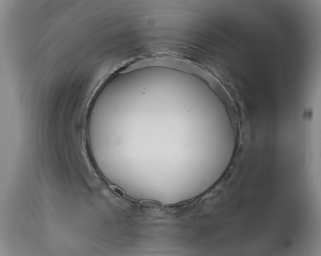 X0000110670241200906261304