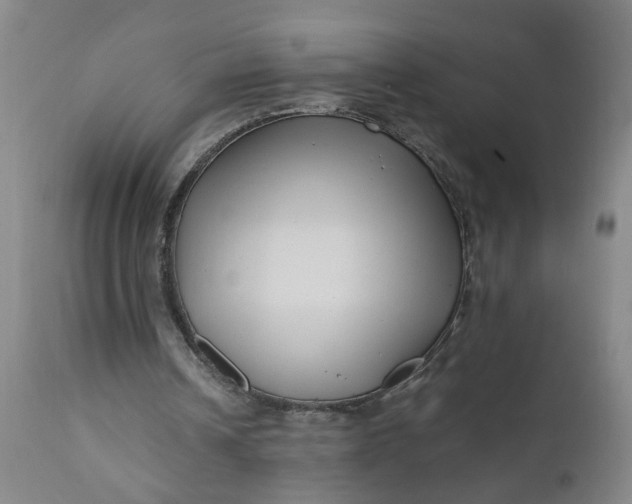X0000110670242200906261304