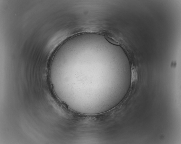 X0000110670243200906261304