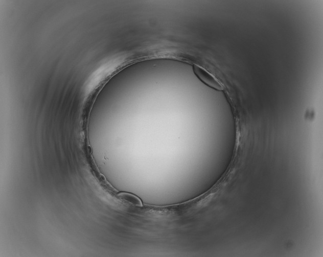 X0000110670245200906261304