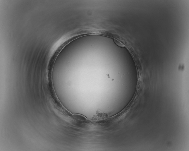 X0000110670246200906261304