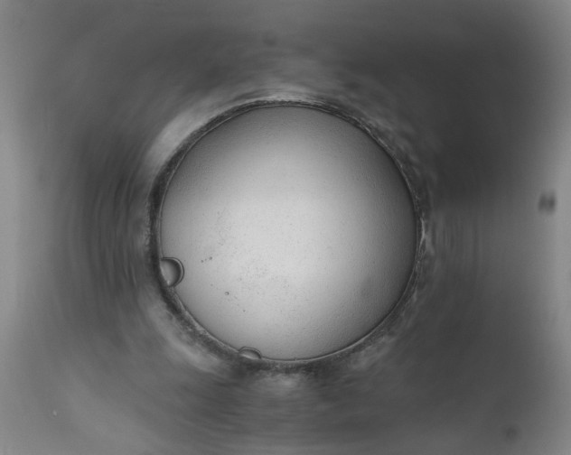 X0000110670247200906261304