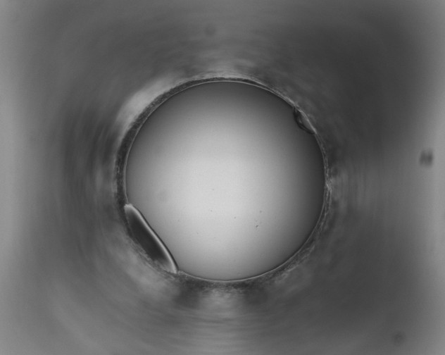 X0000110670248200906261304