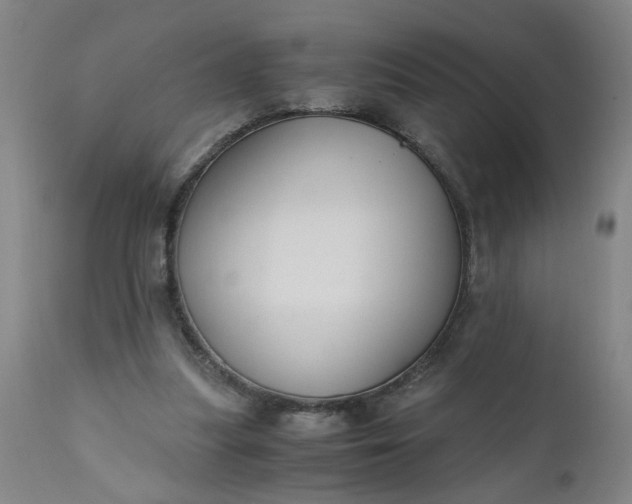 X0000110670251200906261304
