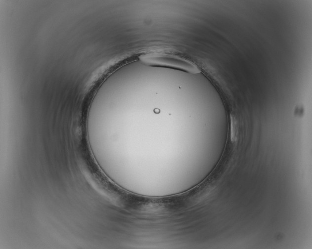 X0000110670252200906261304