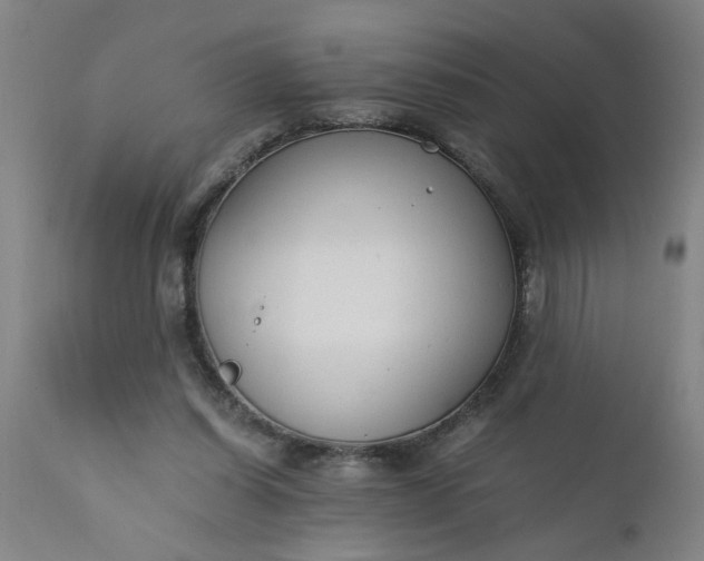 X0000110670254200906261304