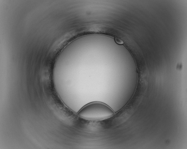 X0000110670256200906261304