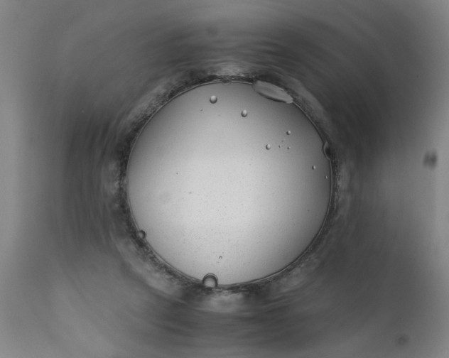 X0000110670257200906261304