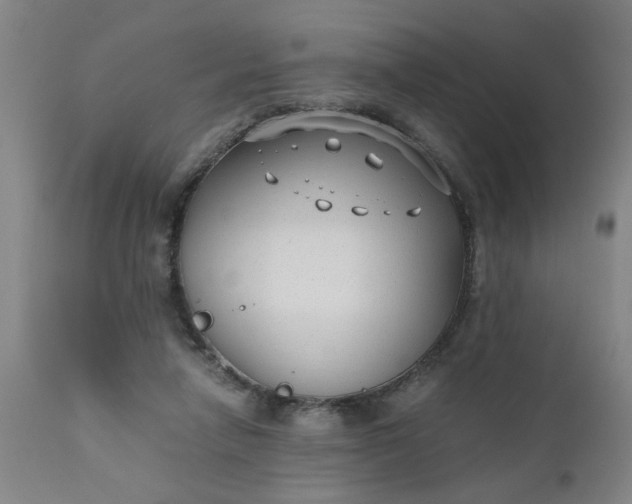 X0000110670258200906261304