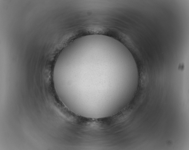X0000110670259200906261304