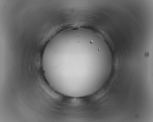 X0000110670261200906261304