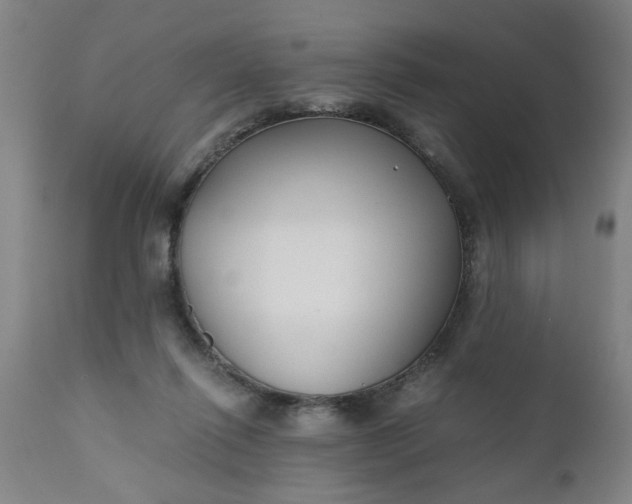 X0000110670262200906261304