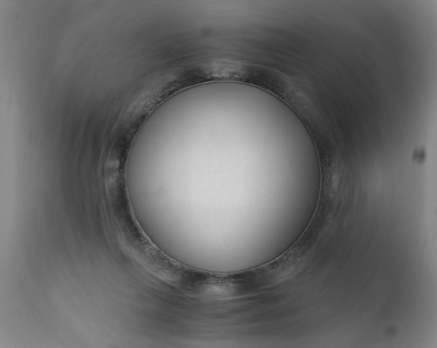 X0000110670263200906261304
