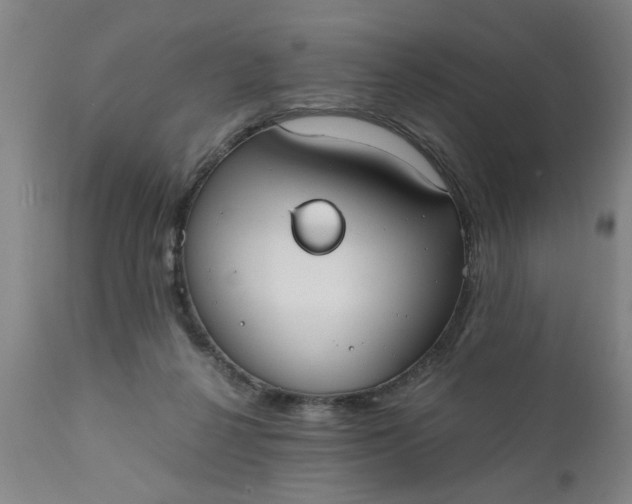 X0000110670264200906261304
