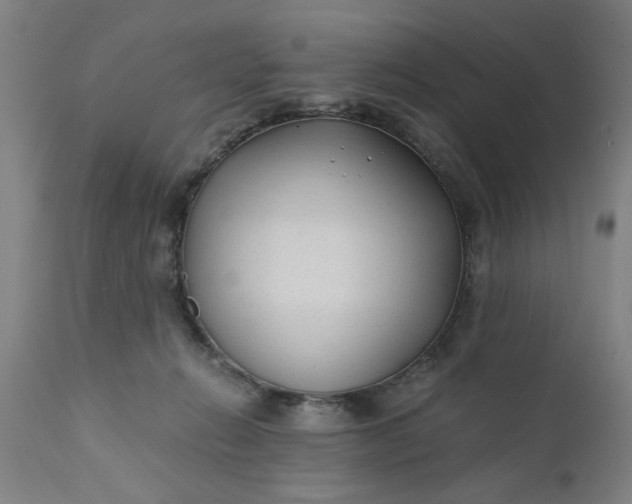 X0000110670270200906261304