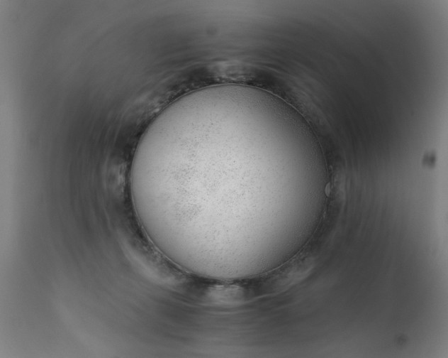 X0000110670271200906261304