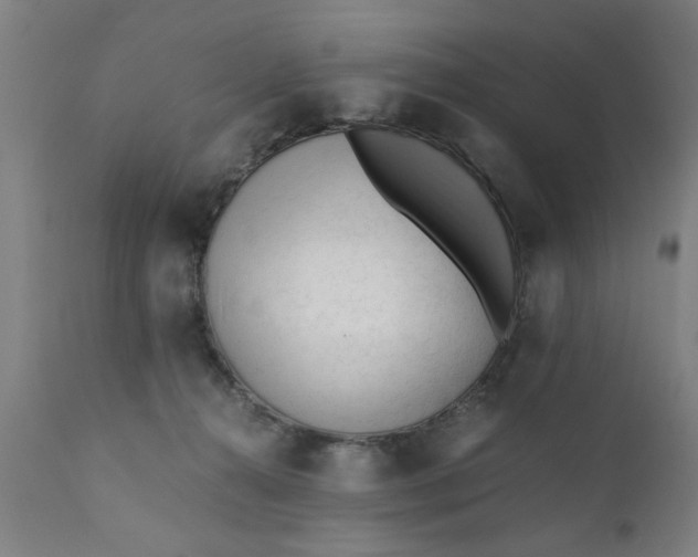 X0000110670272200906261304