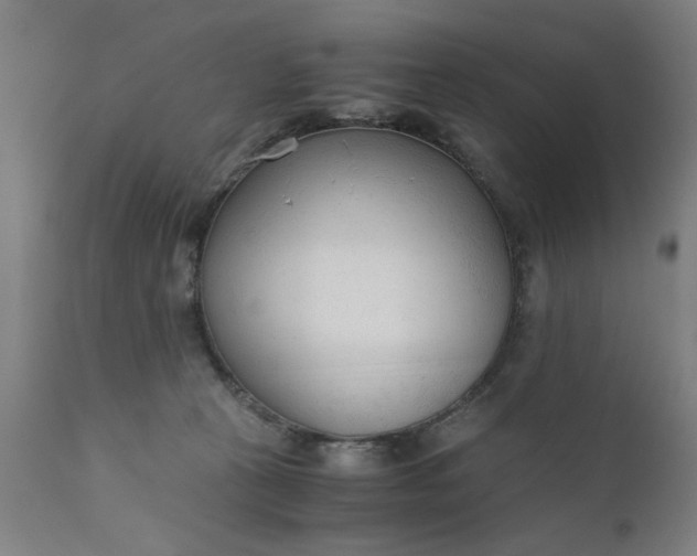 X0000110670273200906261304