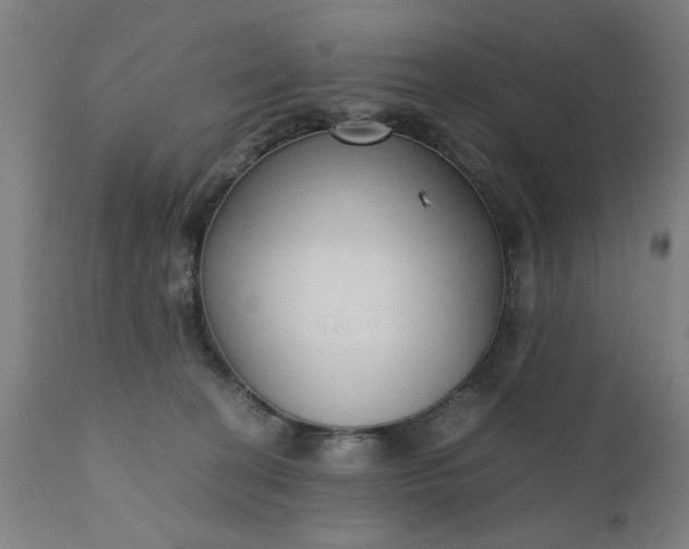 X0000110670274200906261304