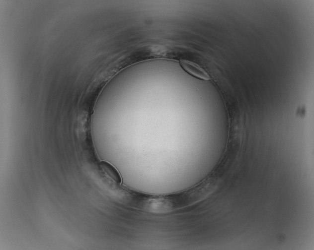 X0000110670275200906261304