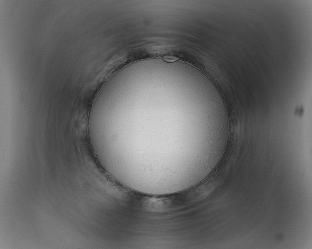 X0000110670277200906261304