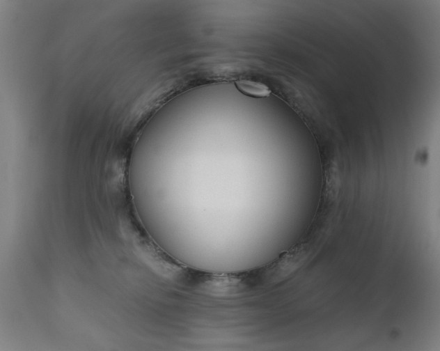 X0000110670278200906261304