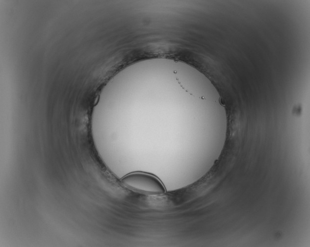 X0000110670279200906261304