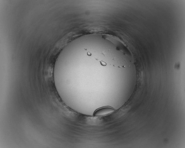 X0000110670281200906261304