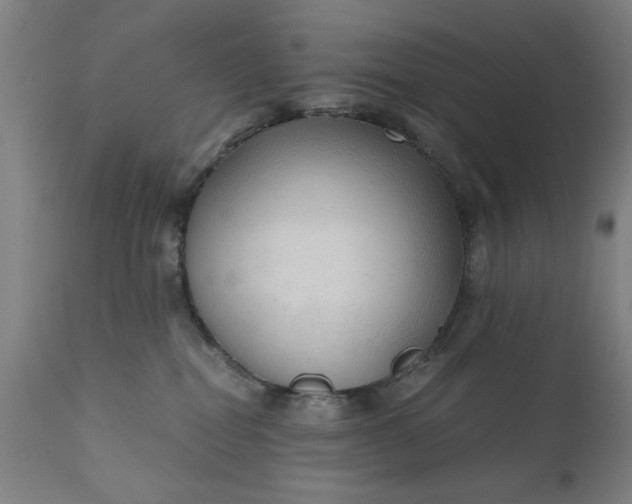 X0000110670282200906261304