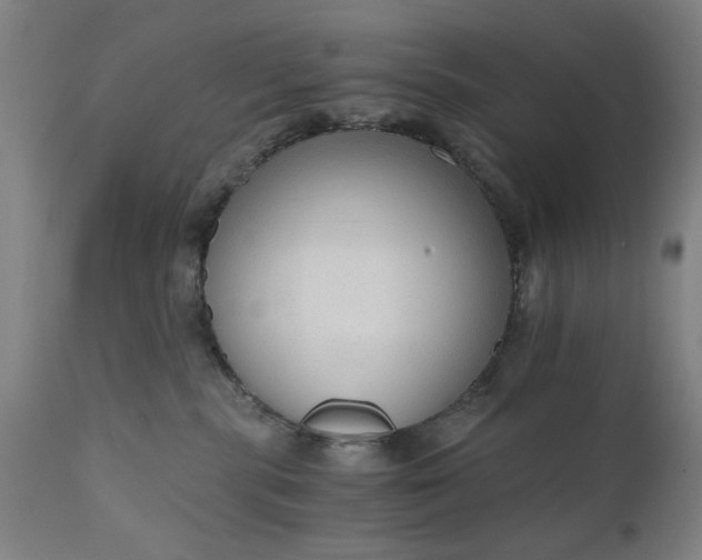 X0000110670283200906261304
