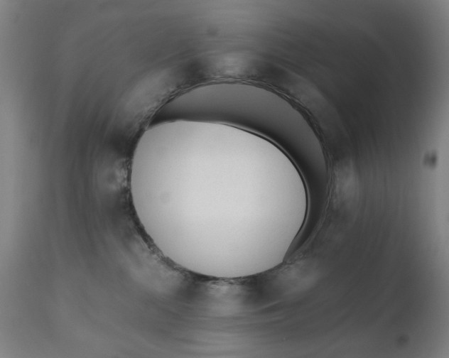 X0000110670284200906261304