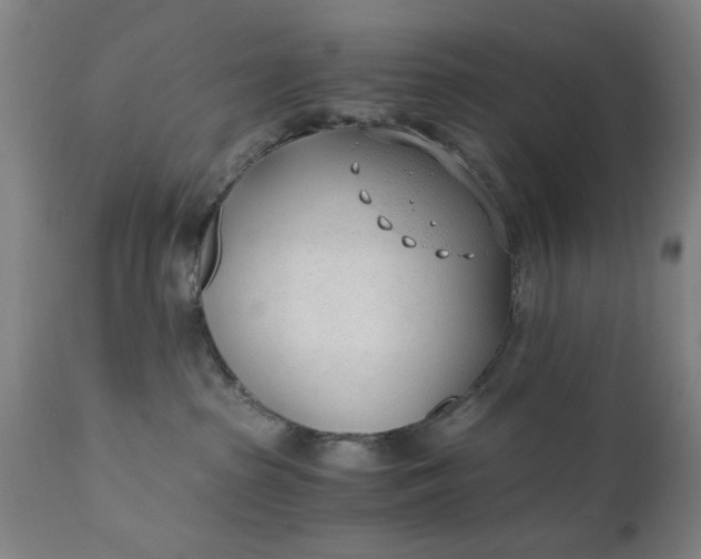 X0000110670285200906261304