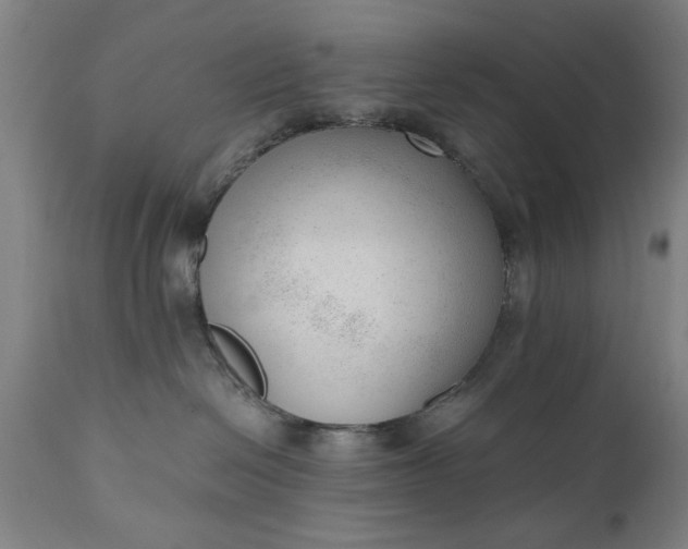 X0000110670286200906261304