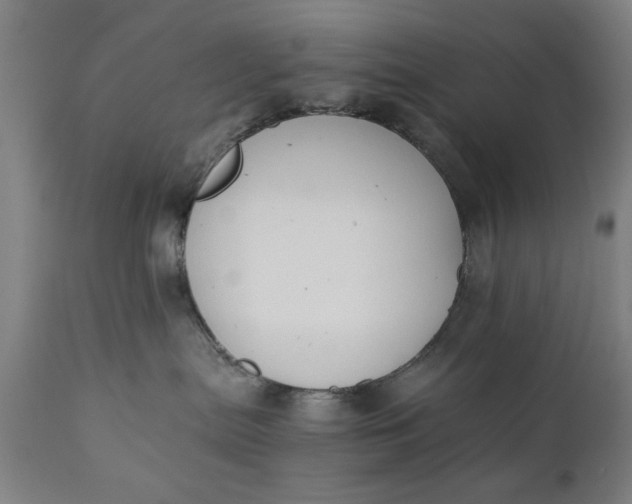 X0000110670287200906261304