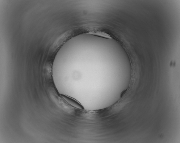 X0000110670288200906261304
